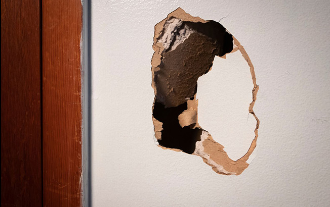 Drywall Repair and Painting